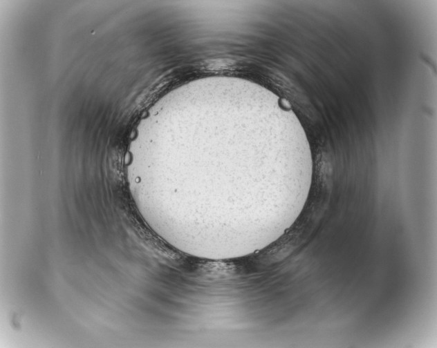 X0000102280421200808151933