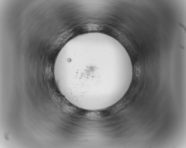 X0000102280422200808151933