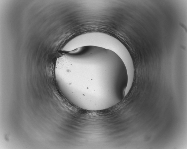 X0000102280423200808151933