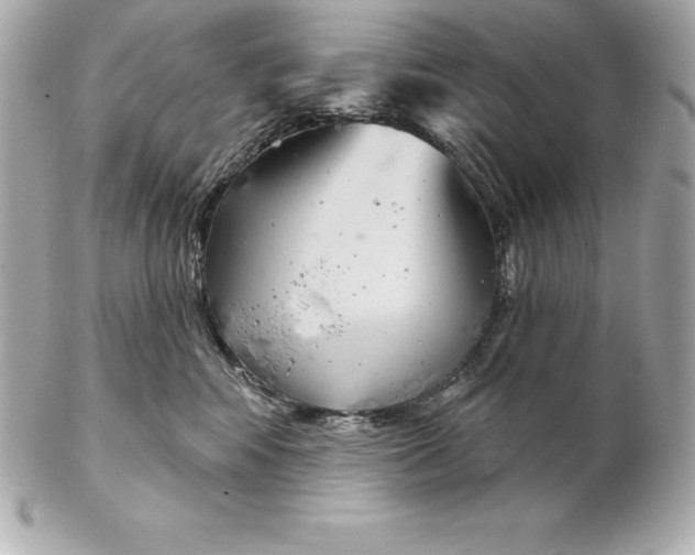 X0000102280424200808151933