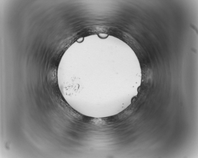 X0000102280425200808151933