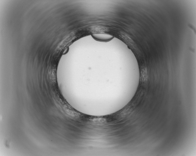 X0000102280426200808151933