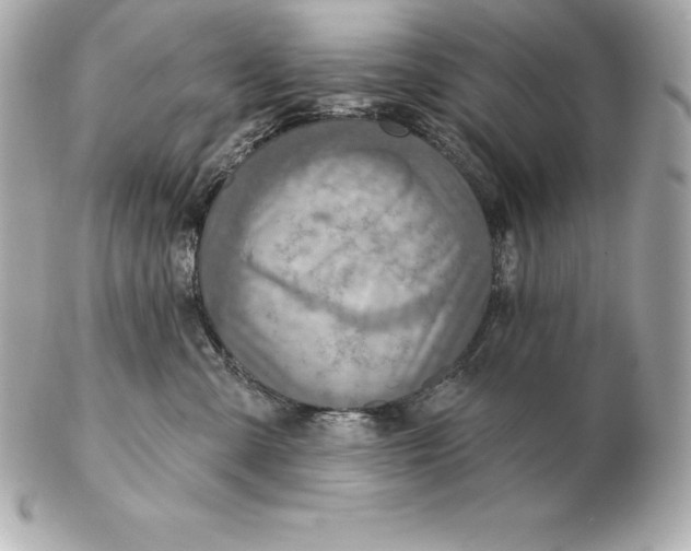 X0000102280427200808151933