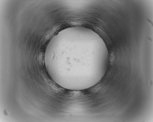 X0000102280428200808151933