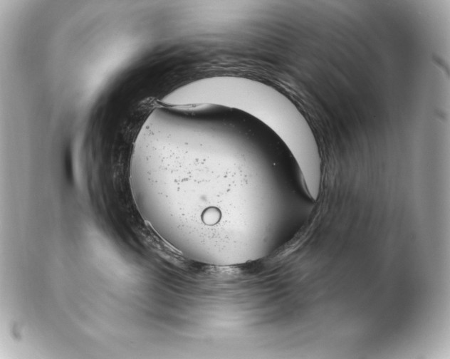 X0000102280429200808151933