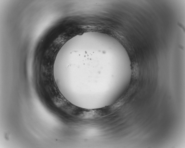 X0000102280430200808151932