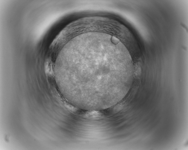 X0000102280431200808151932