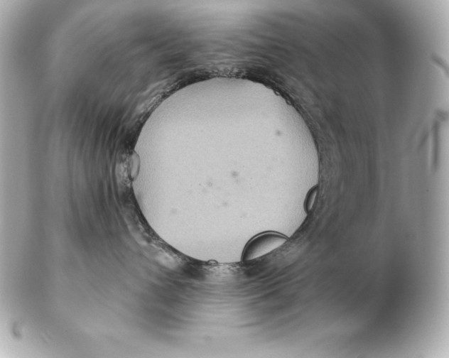 X0000102280432200808151932