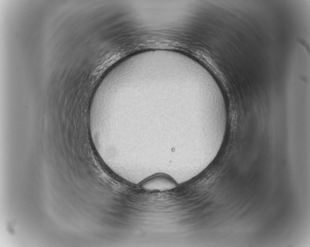 X0000102280433200808151932