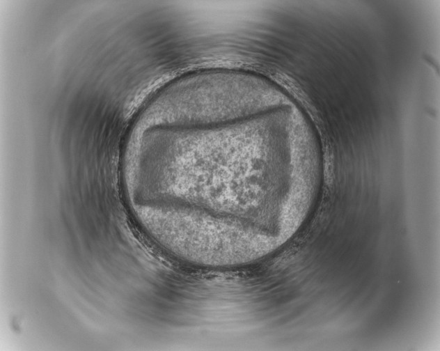 X0000102280434200808151932