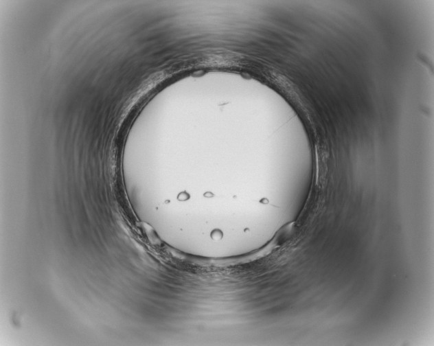 X0000102280435200808151932