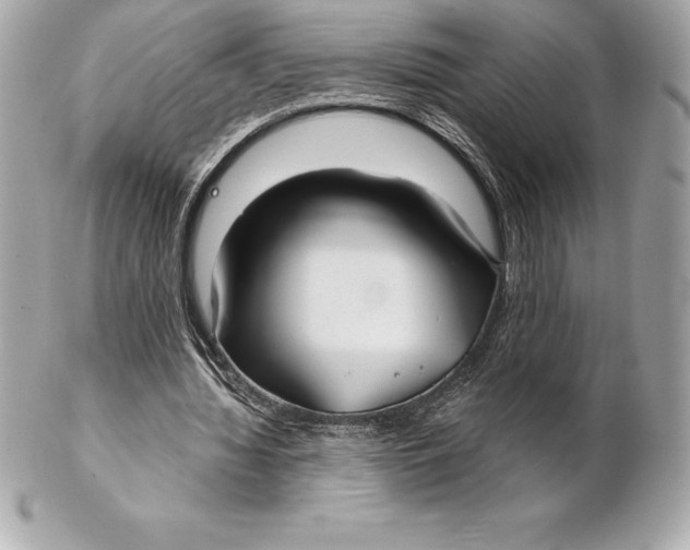 X0000102280436200808151932