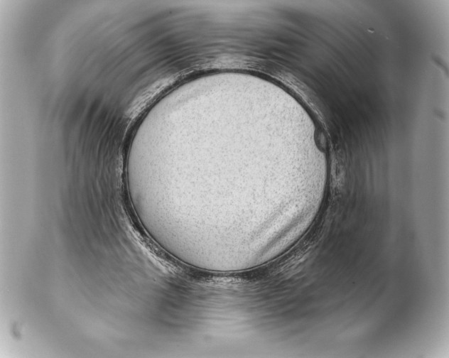 X0000102280437200808151932