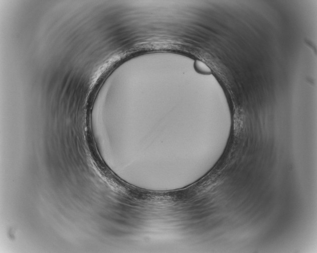 X0000102280438200808151932