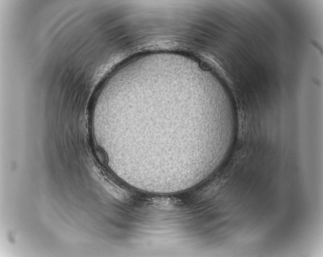 X0000102280439200808151932