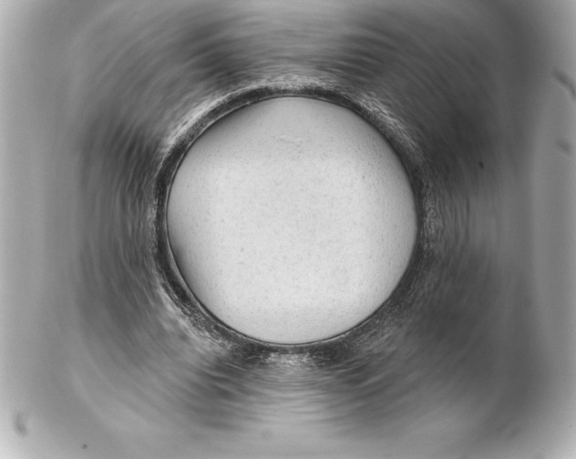 X0000102280440200808151932