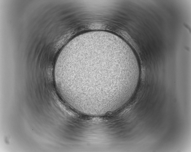 X0000102280441200808151932