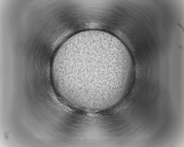 X0000102280442200808151932