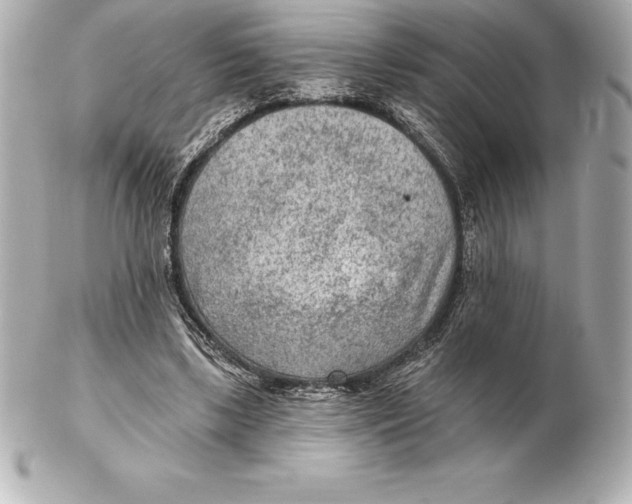 X0000102280443200808151932