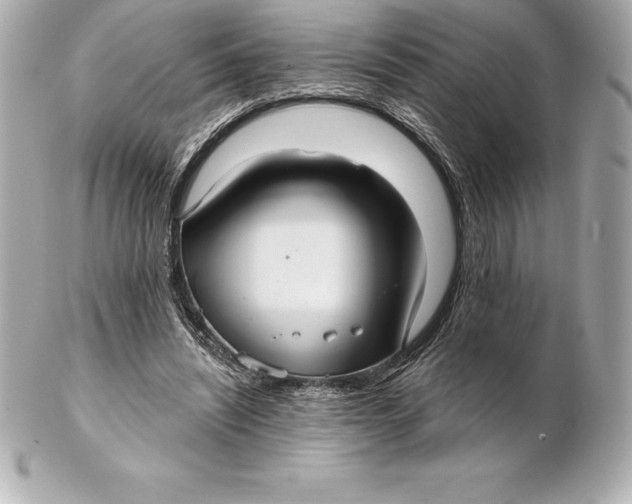 X0000102280444200808151932