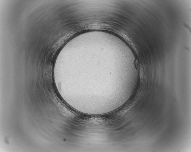 X0000102280445200808151932