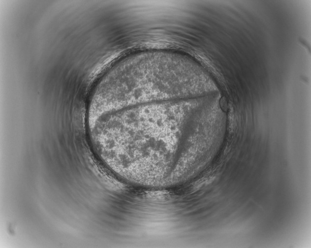 X0000102280446200808151932