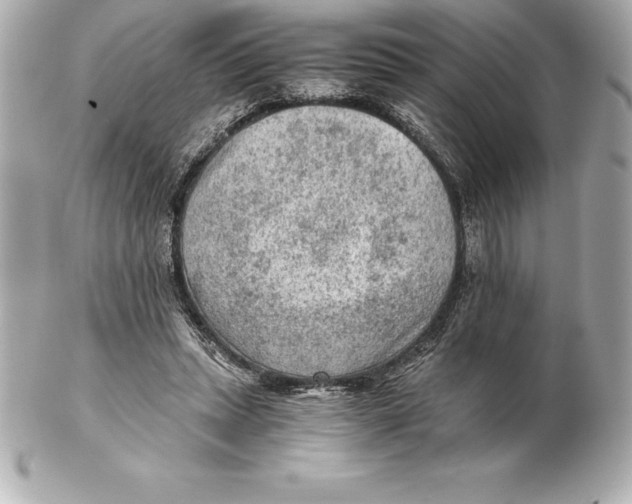 X0000102280447200808151932