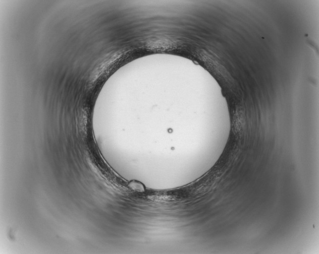 X0000102280448200808151932