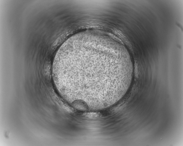 X0000102280449200808151932