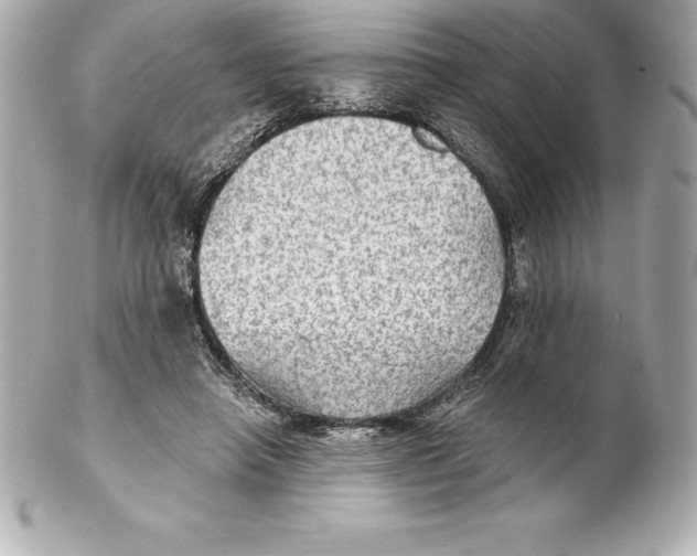 X0000102280450200808151932