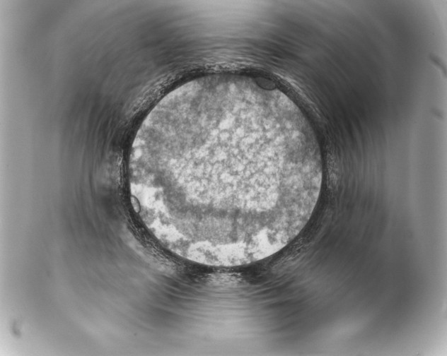 X0000102280451200808151932