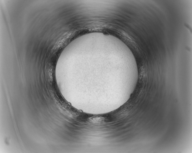 X0000102280452200808151932