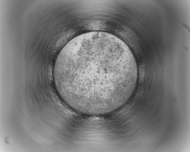 X0000102280453200808151932