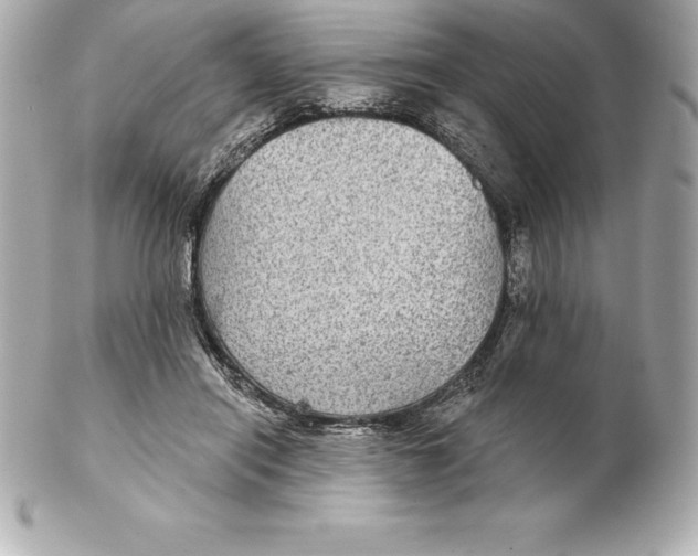 X0000102280454200808151932