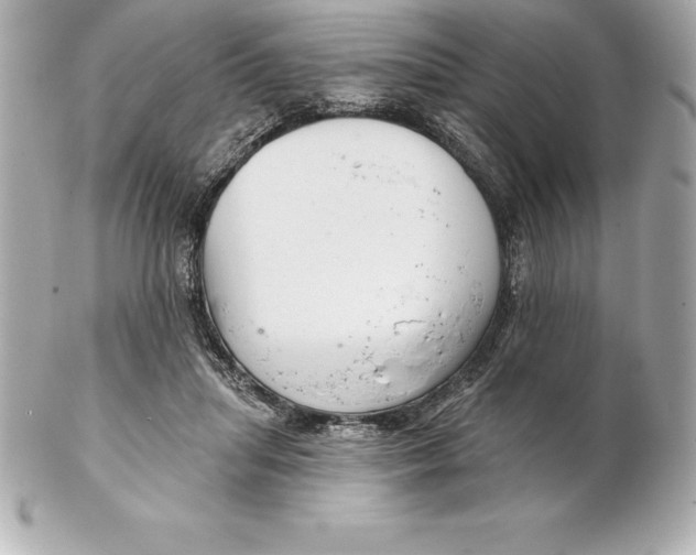 X0000102280455200808151932