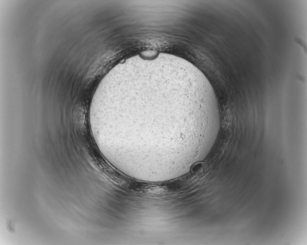 X0000102280456200808151932