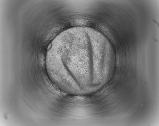 X0000102280457200808151932