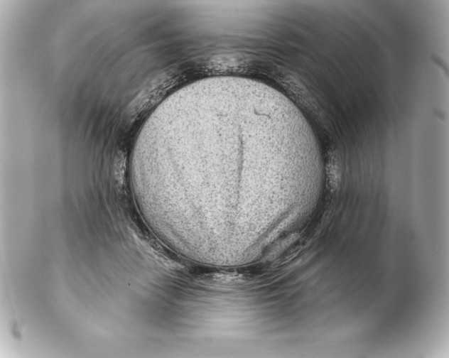 X0000102280458200808151932