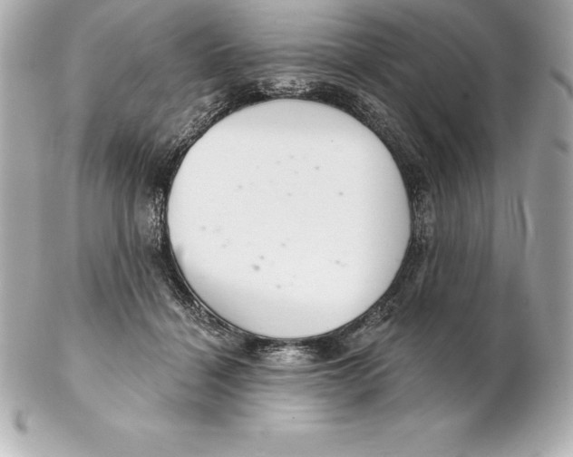 X0000102280460200808151932