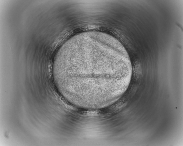 X0000102280462200808151932