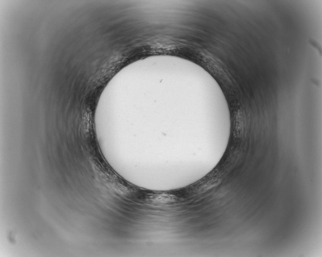 X0000102280463200808151932