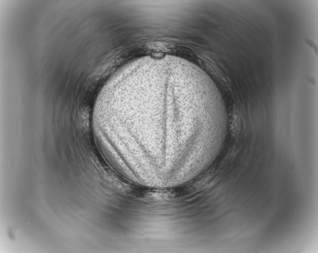 X0000102280466200808151932