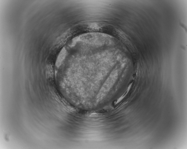 X0000102280467200808151932