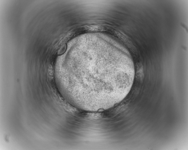 X0000102280469200808151932