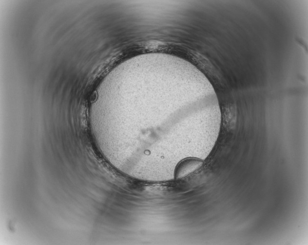 X0000102280470200808151932