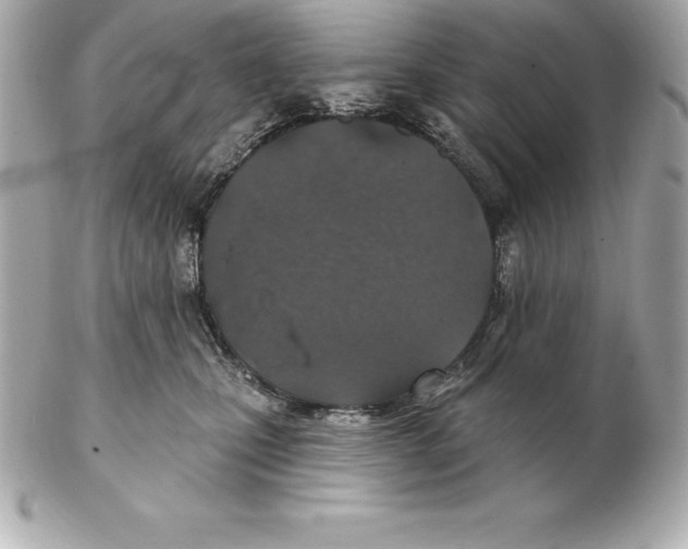 X0000102280471200808151932