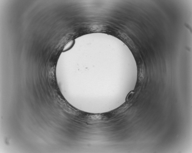 X0000102280473200808151932