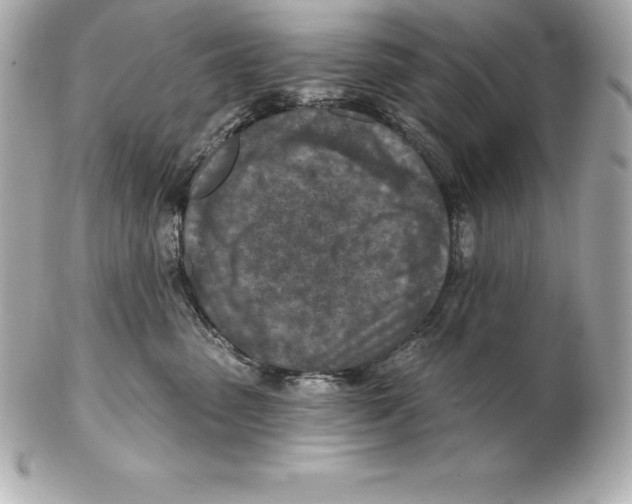 X0000102280475200808151932