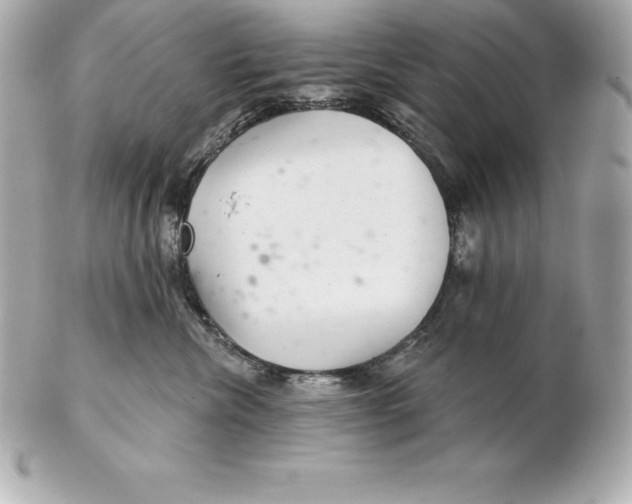 X0000102280476200808151932