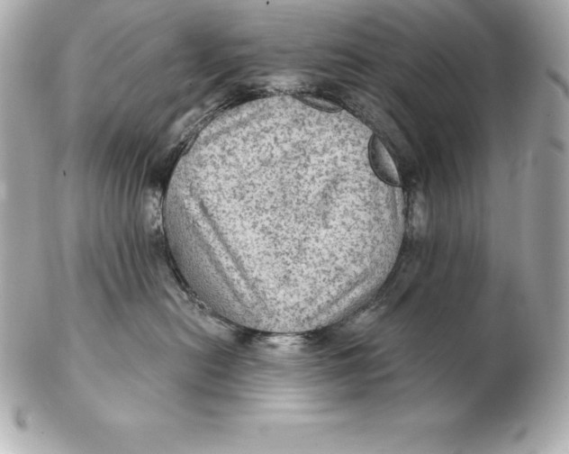 X0000102280478200808151932